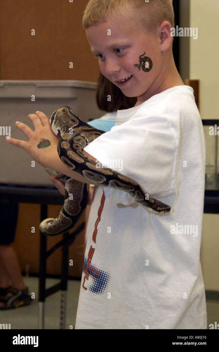 Young boy playing with a ball python snake at a reptile show Stock ...