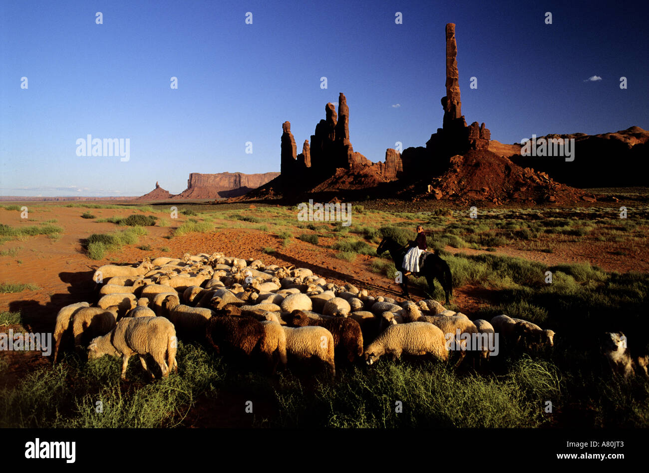 United States, Arizona, Navajo Reserve, Monument Valley Stock Photo Alamy