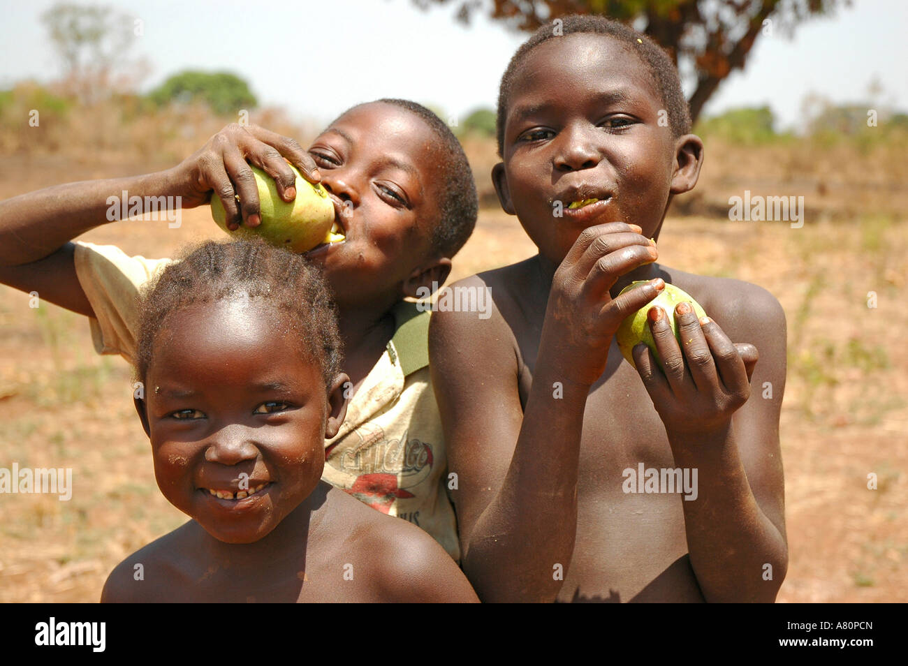 Three children eating mango Stock Photo - Alamy