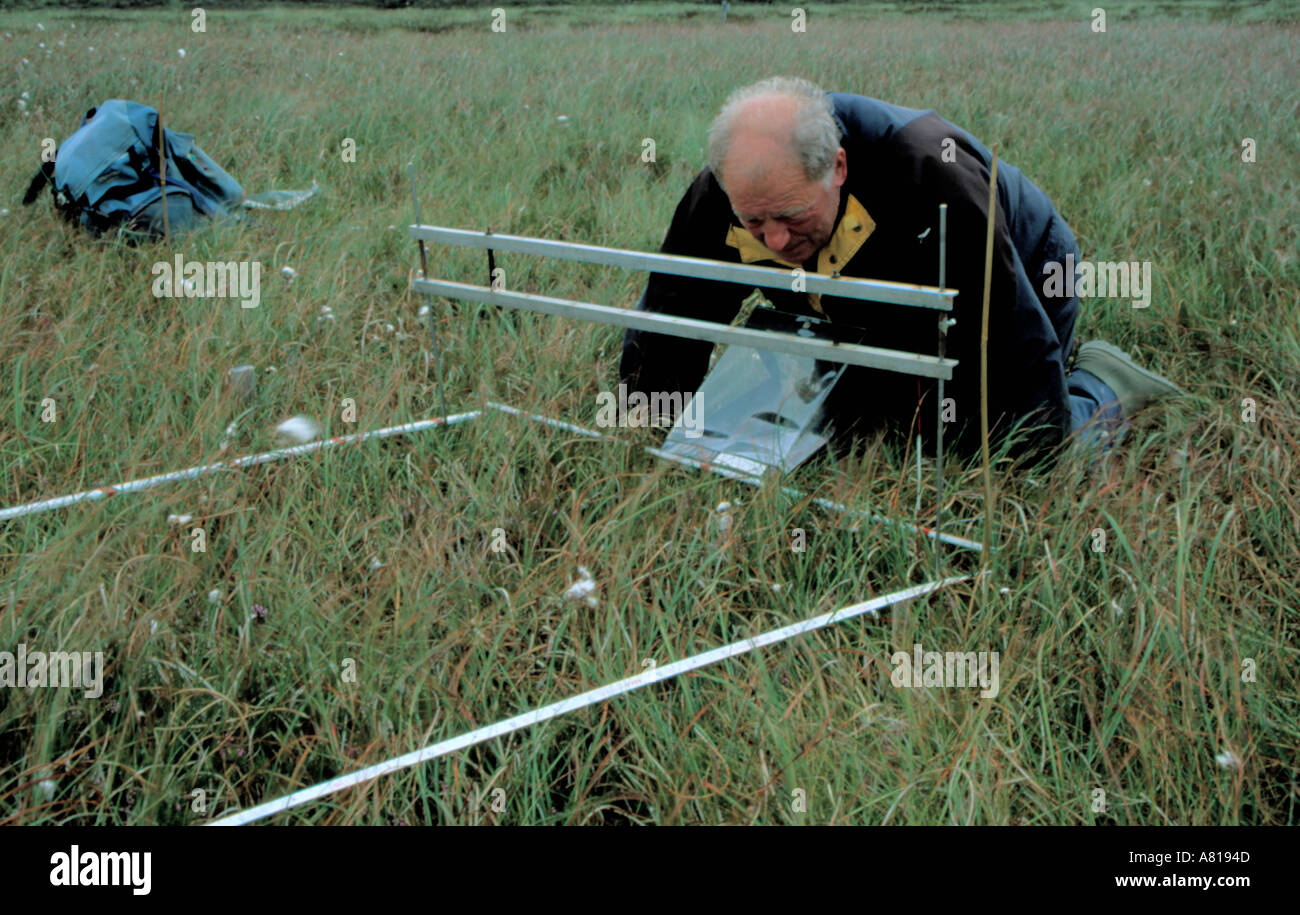 Pinframe, also known as a Point Quadrat, being used during an ecological survey, northern Pennines, Cumbria, England, UK. Stock Photo