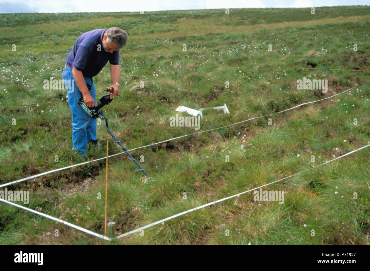 Using a metal detector to find metal markers of permanent plots used to monitor environmental