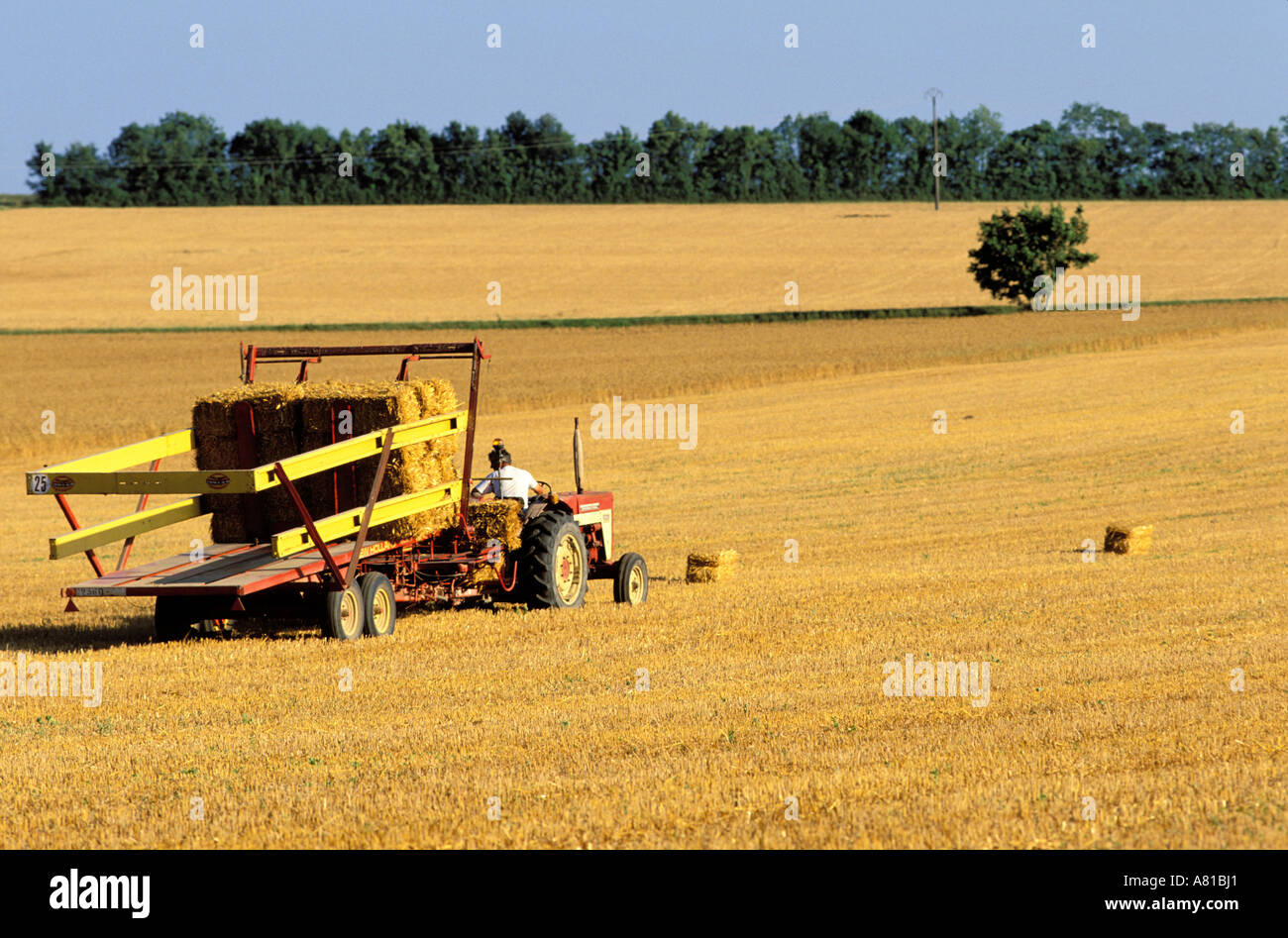 Harvesting hay hi-res stock photography and images - Alamy