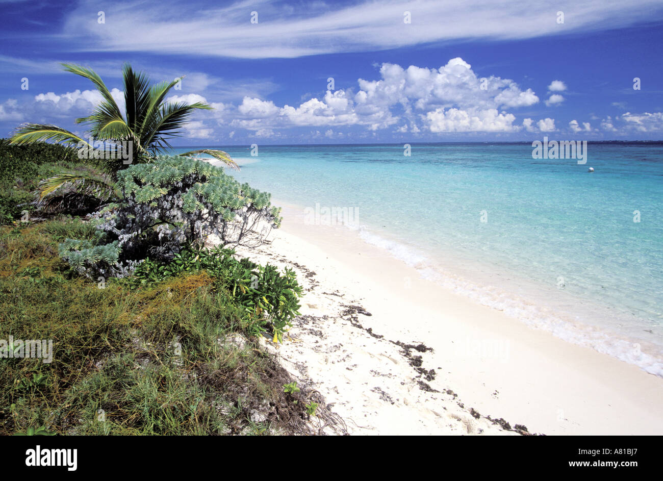 Cayman islands beach hi-res stock photography and images - Alamy
