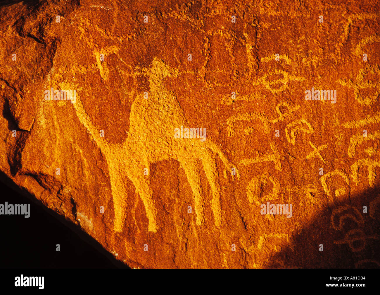 Talmudic Inscription carved into rock wall. Wadi Rum, Jordan. Camel and rider. Close up. Sunset. Stock Photo