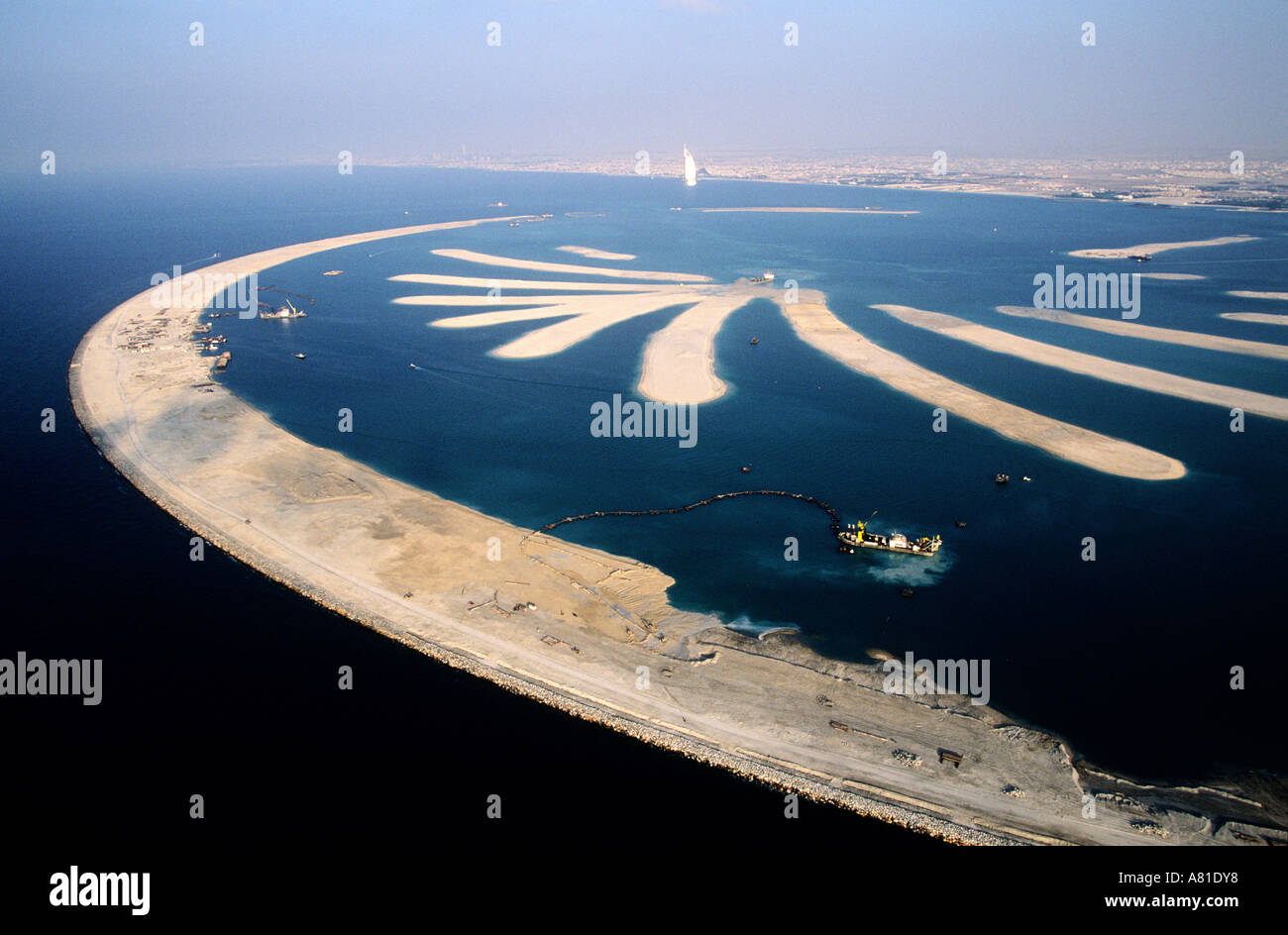 Palm Tree Shaped Island