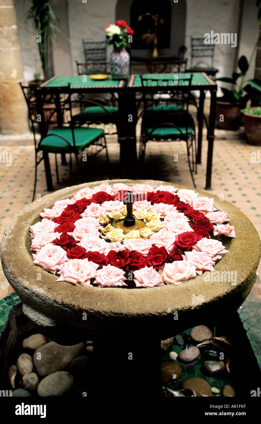 Morocco, Essaouira, riad, patio Stock Photo