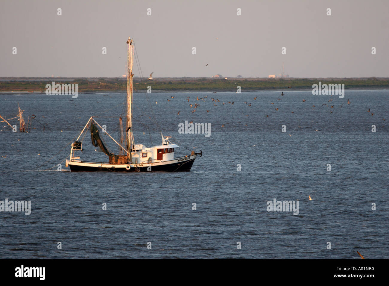 Louisiana fishing boat shrimp hi-res stock photography and images - Alamy