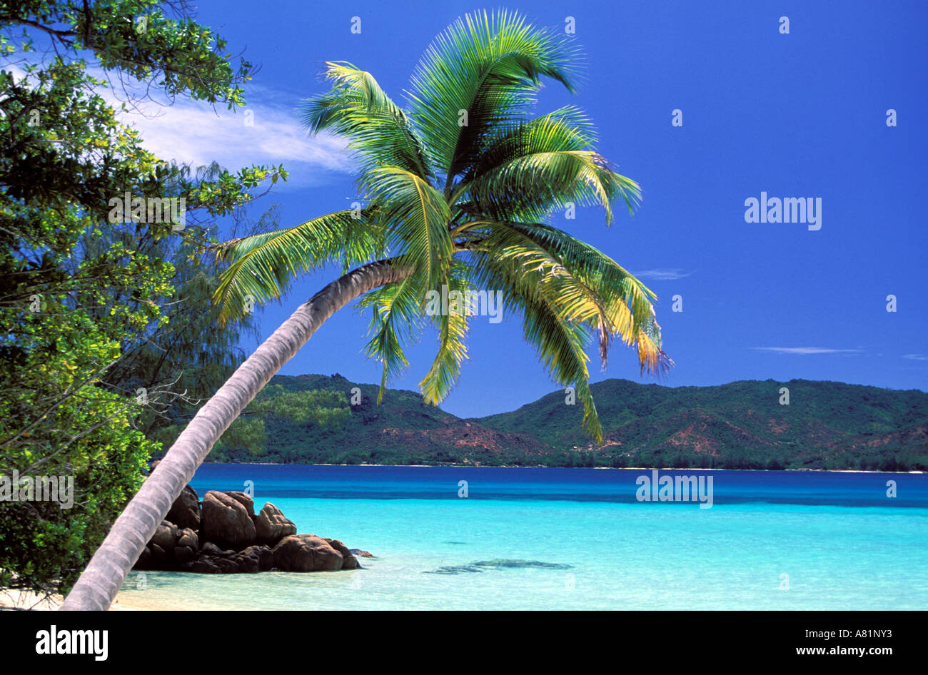 Seychelles, Curieuse island, Anse St. Jose beach Stock Photo - Alamy