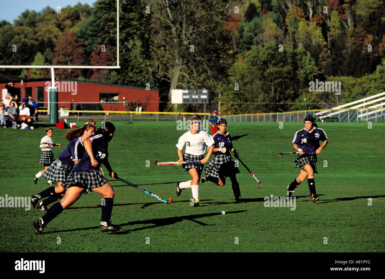 United States, Maine, New England, Woodstock village, field hockey