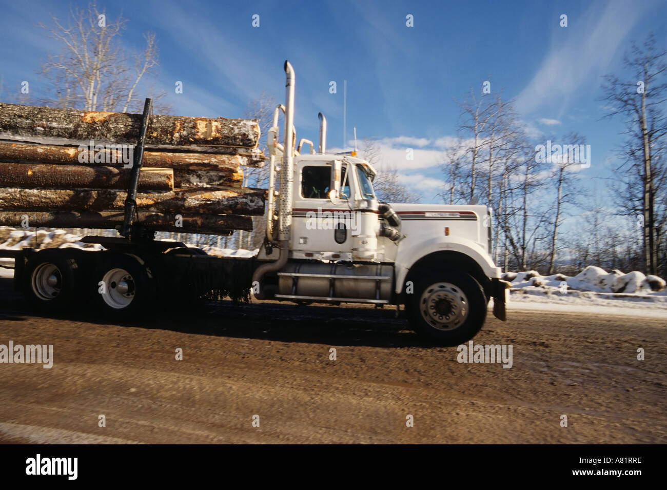 Loaded logging truck Smithers British Columbia Stock Photo Alamy