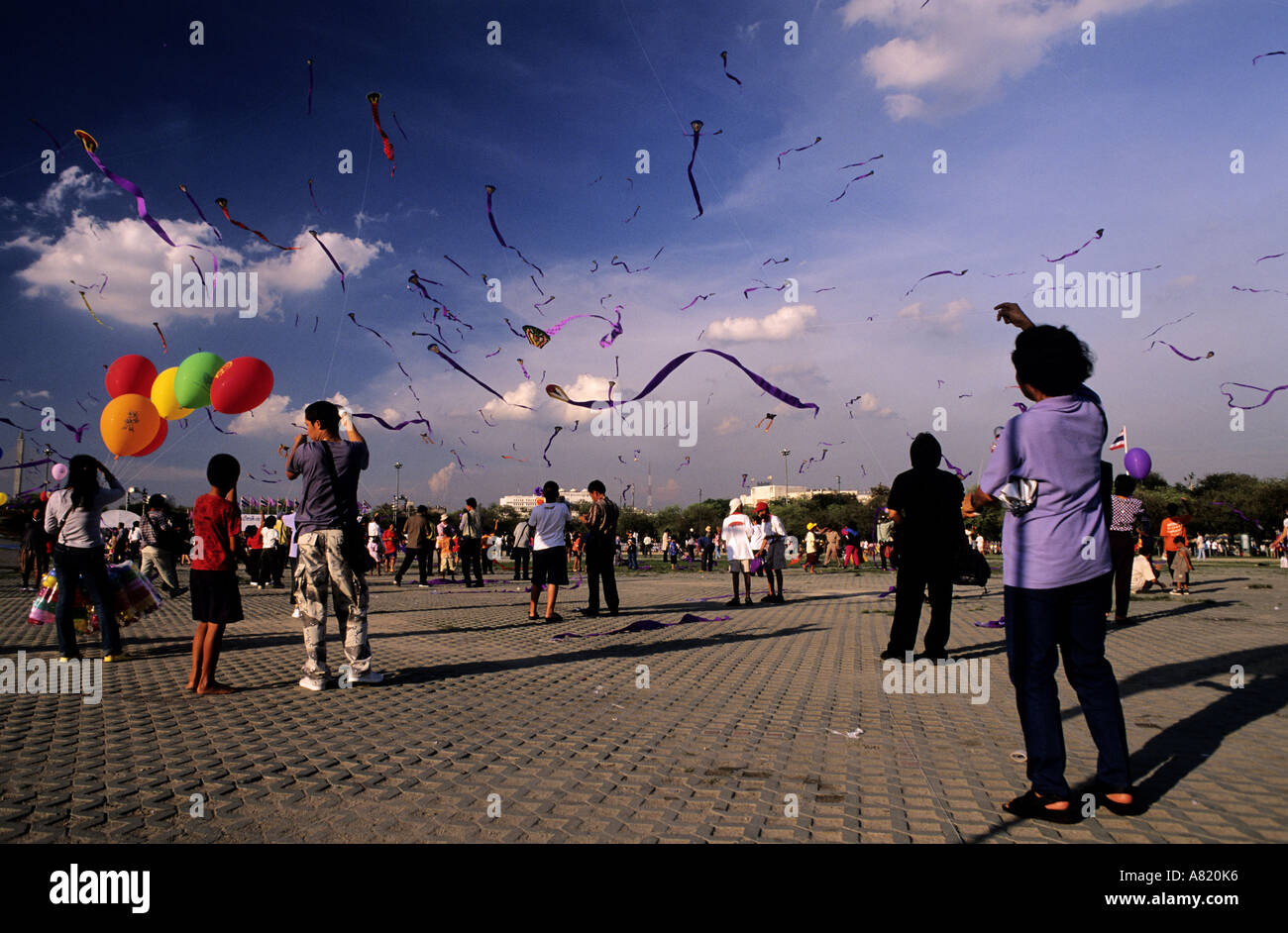Thailand, Bangkok, Sanam Luang Square, kite festival Stock Photo