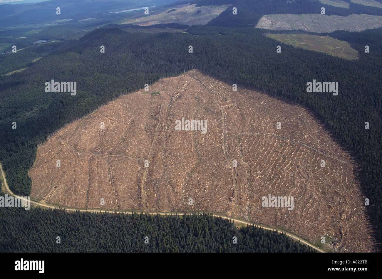 Clear cut logging from the air Ootsa Lake area British Columbia Stock Photo