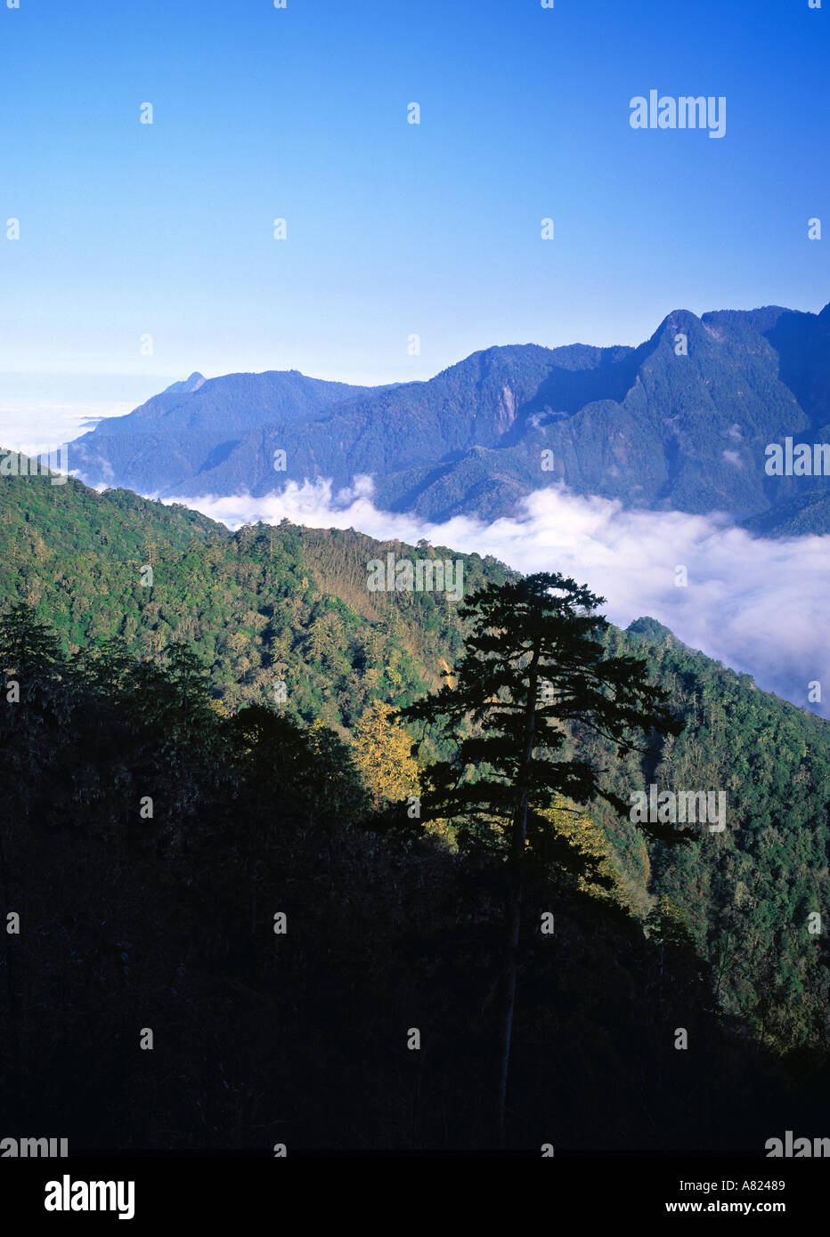 Taroko national park hi-res stock photography and images - Alamy