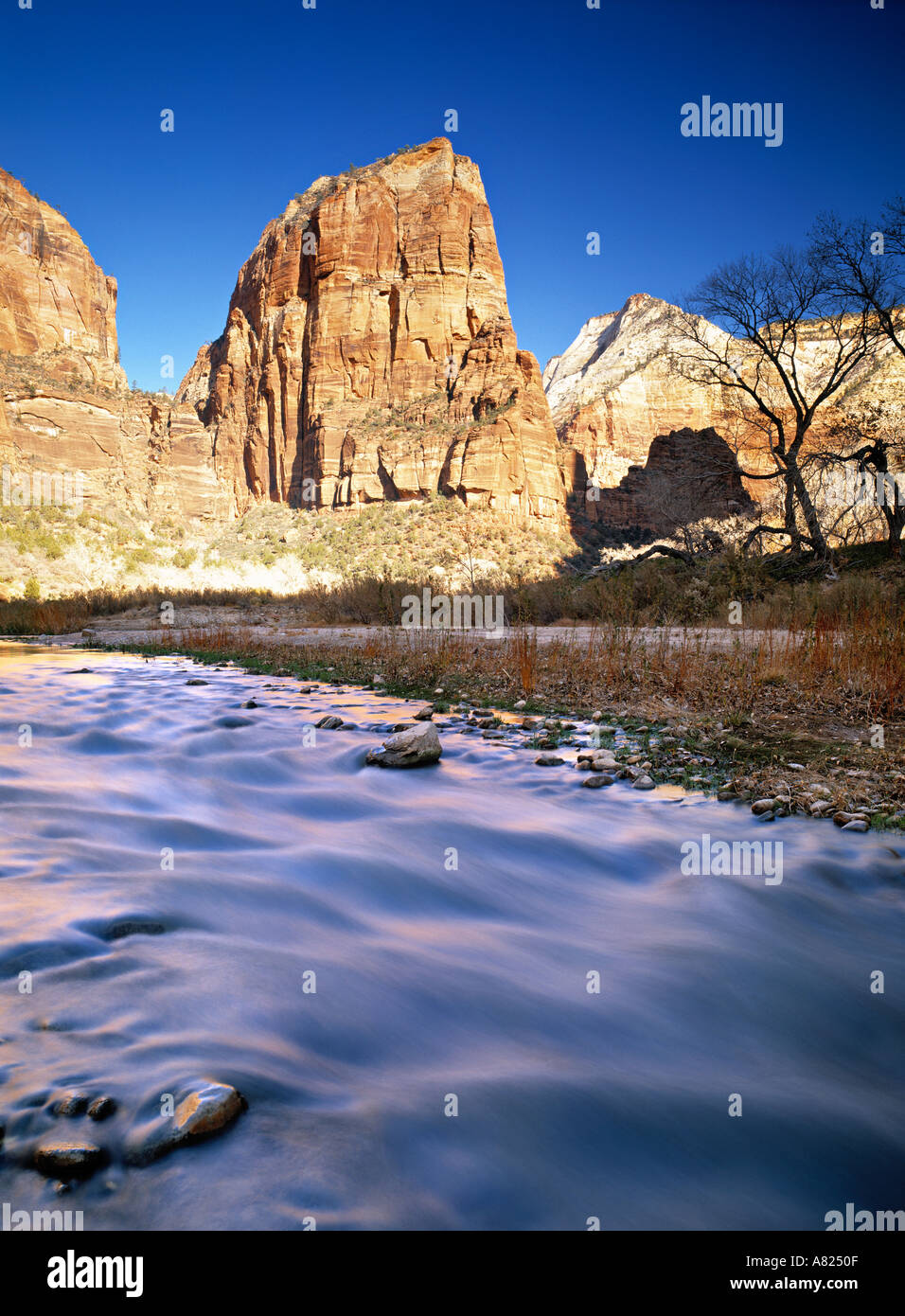 Virgin River, Zion National Park, Utah, USA Stock Photo