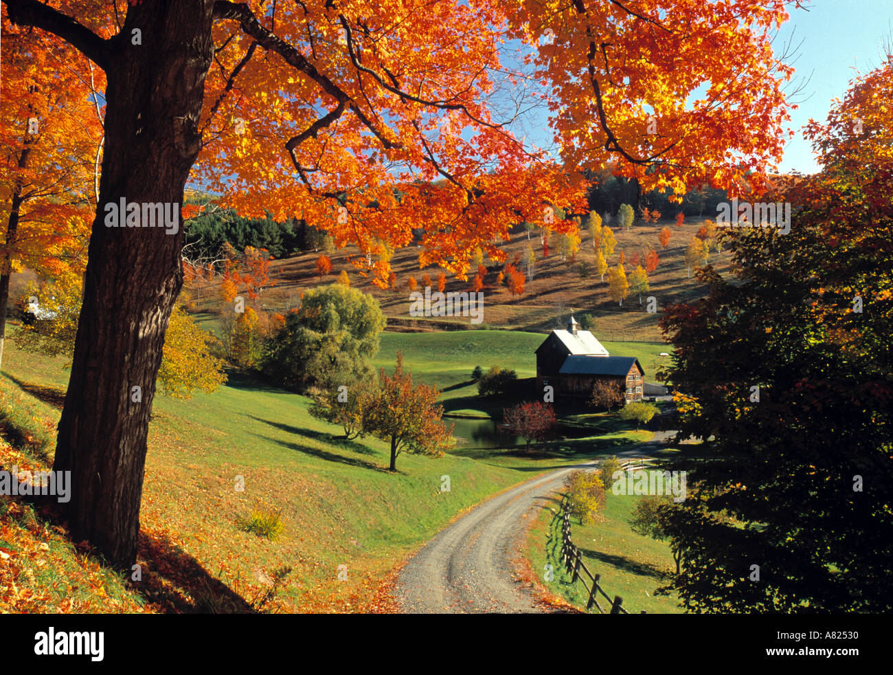 Fall Foliage Vermont Usa Stock Photo Alamy