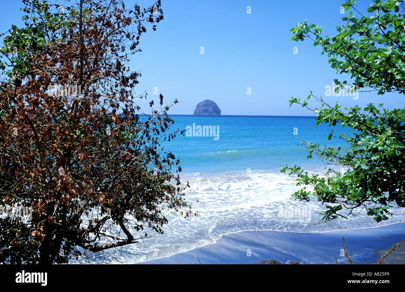 France, Martinique island, South western region, Diamond beach Stock Photo