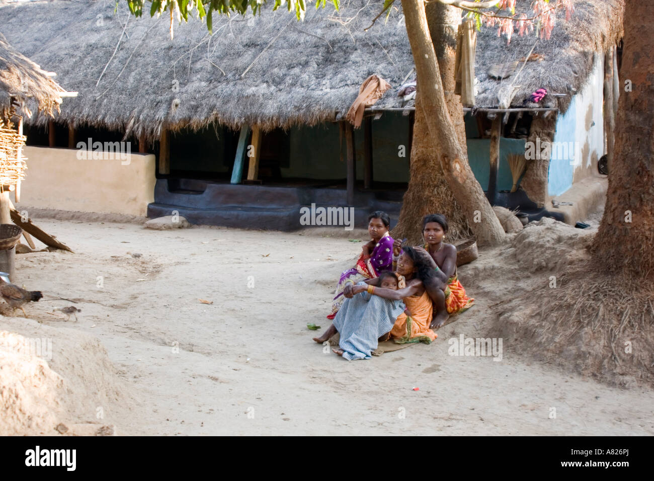 Orissa Local Caption Orissa Tribal Village Life Stock Photo Alamy orissa-local-caption-orissa-tribal-village-life-stock-photo-alamy