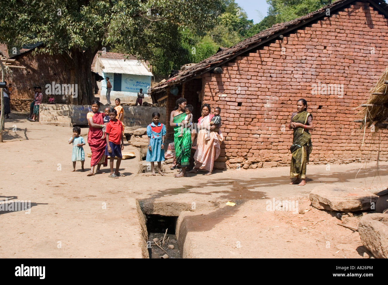Orissa Local Caption Orissa Tribal Village Life Stock Photo Alamy orissa-local-caption-orissa-tribal-village-life-stock-photo-alamy