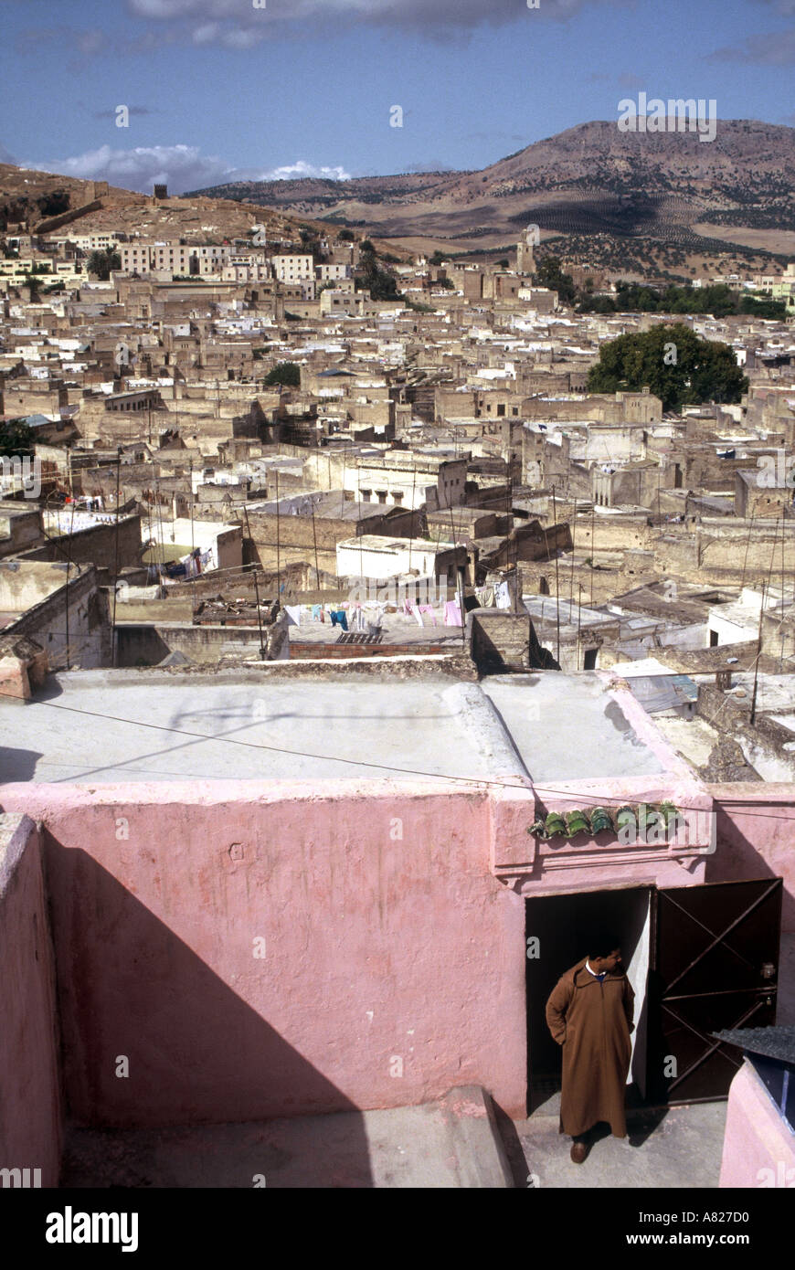 Dye Pits, Fez Medina, Morocco, North Africa