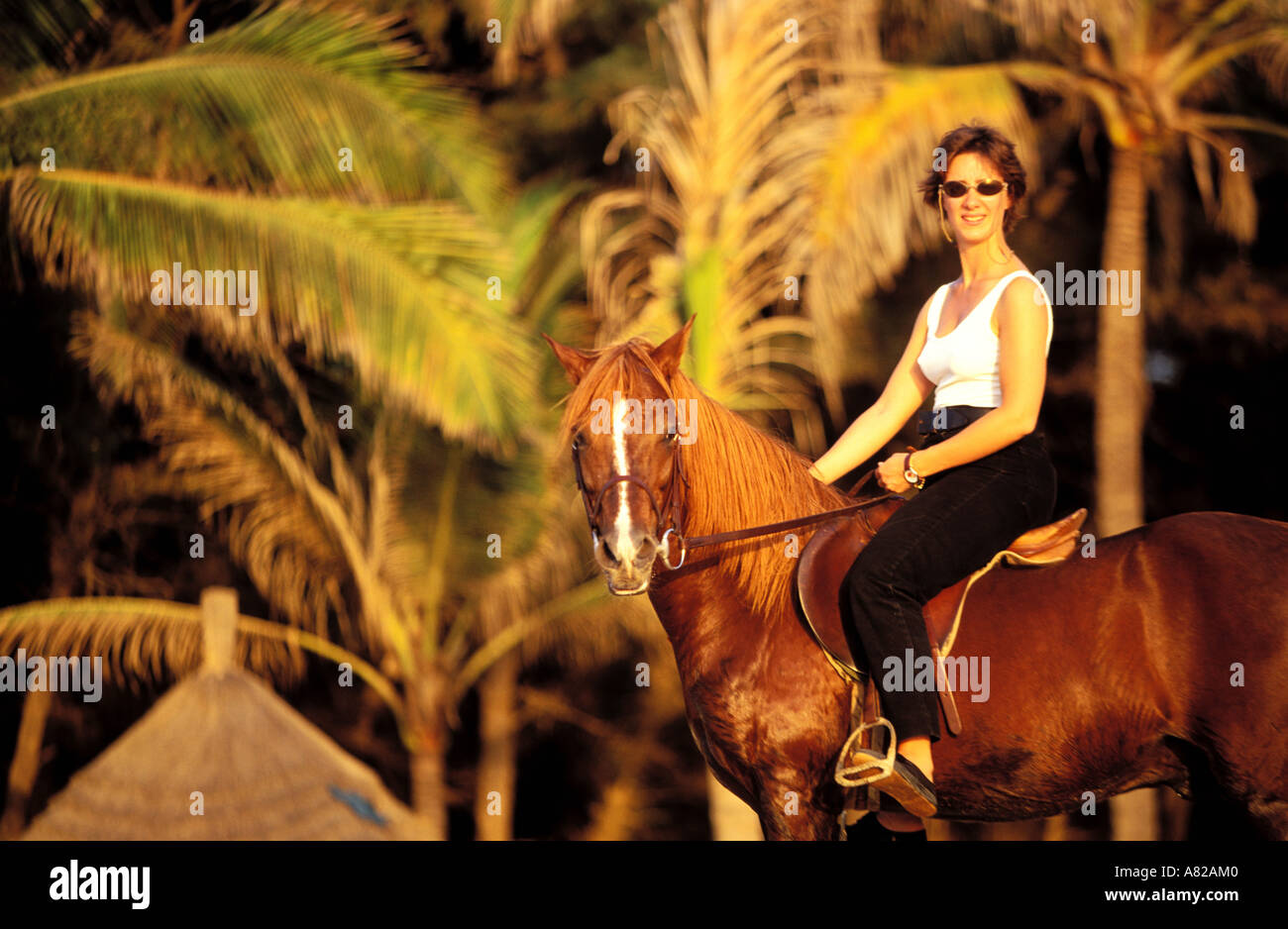 Senegal, region of Dakar, M'Bour, horse rinding on the beach of Nianing Stock Photo
