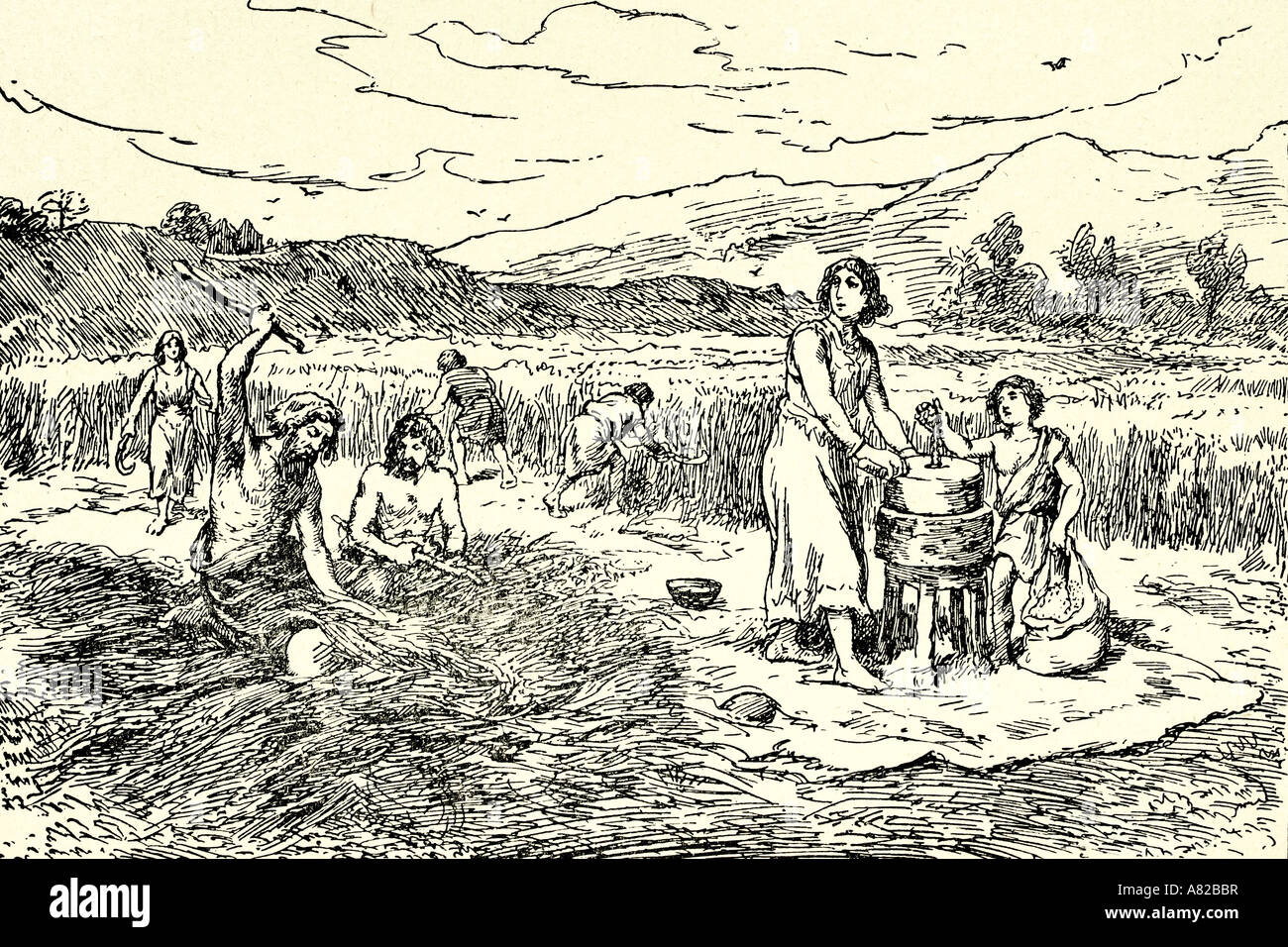 Agriculture in Iron Age. Harvesting wheat. Antique illustration. 1924 Stock Photo
