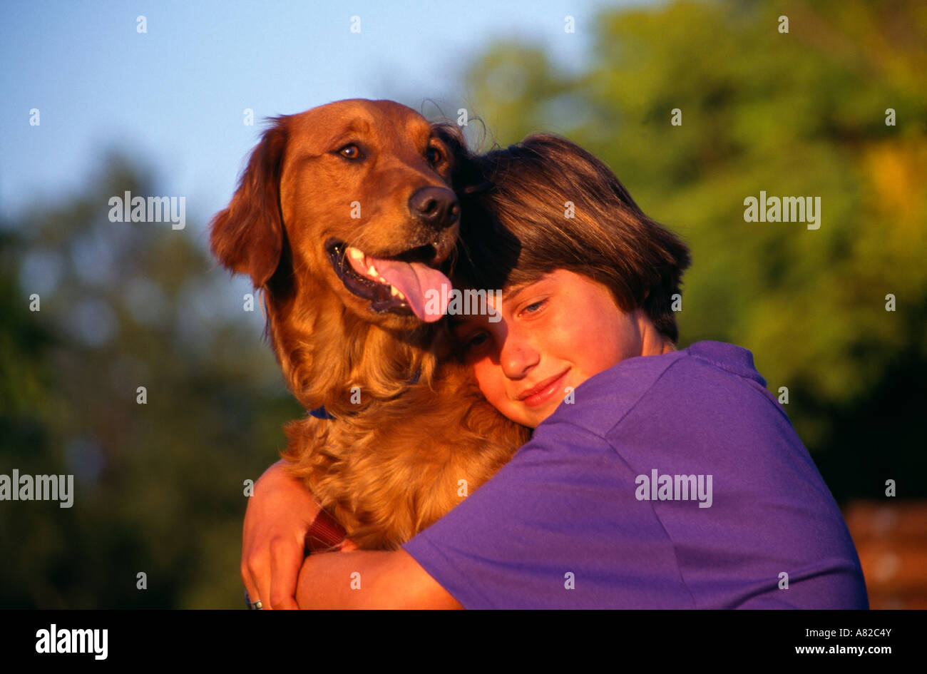 Young girl 8-10 year old hugging Irish Setter dog redhead red fur late summer afternoon front view close up US USA United States MR  © Myrleen Pearson Stock Photo