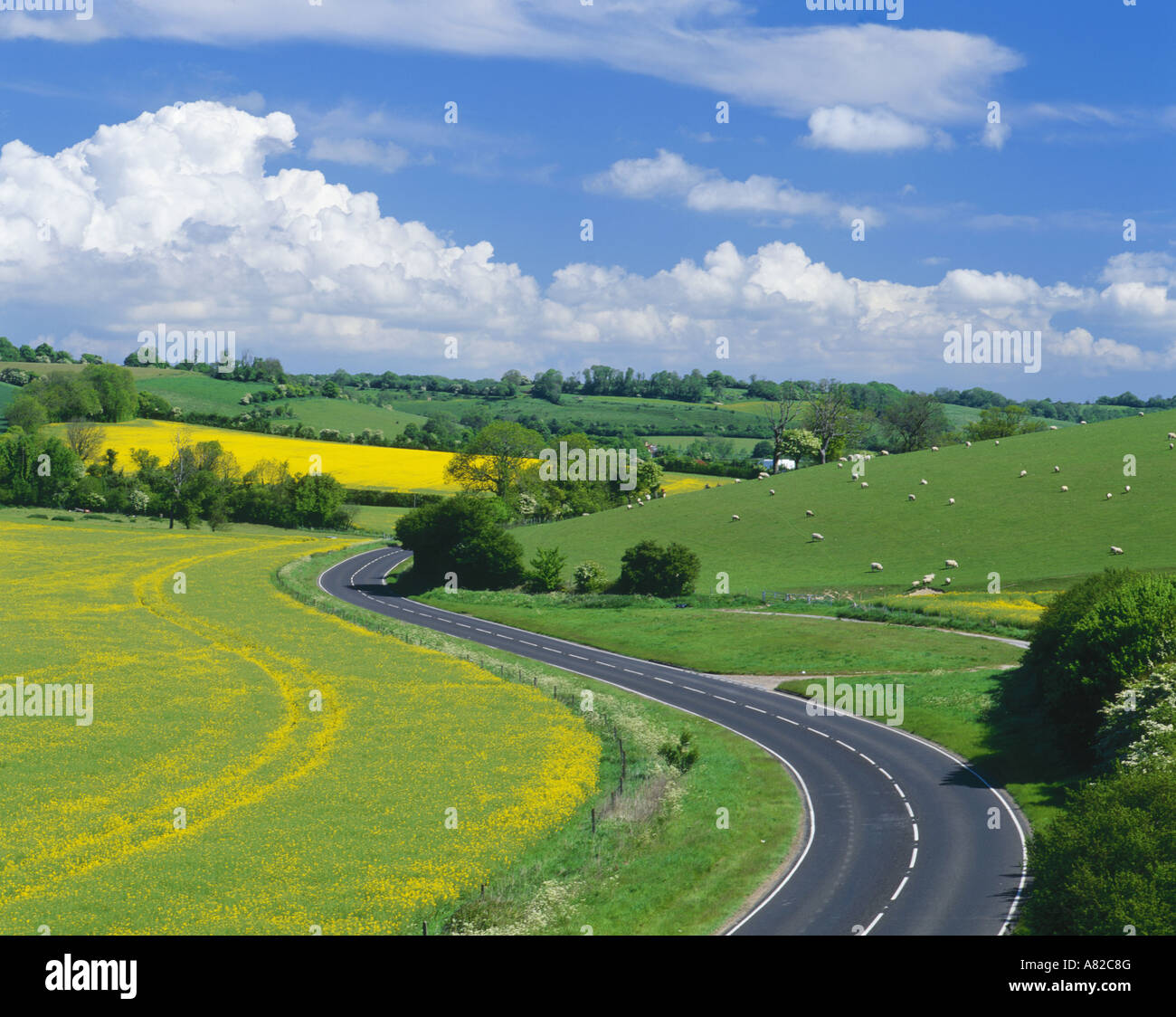 Alkham hires stock photography and images Alamy