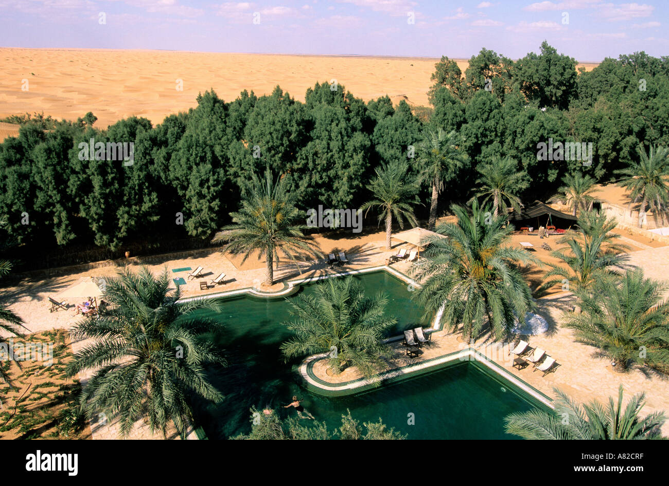 Tunisia, Southern Tunisia, Ksar Ghilane Palm Grove, Luxurious Camp With 