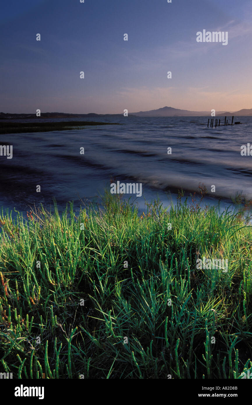 California, East Bay Parks, San Pablo Bay shoreline, Point Pinole ...