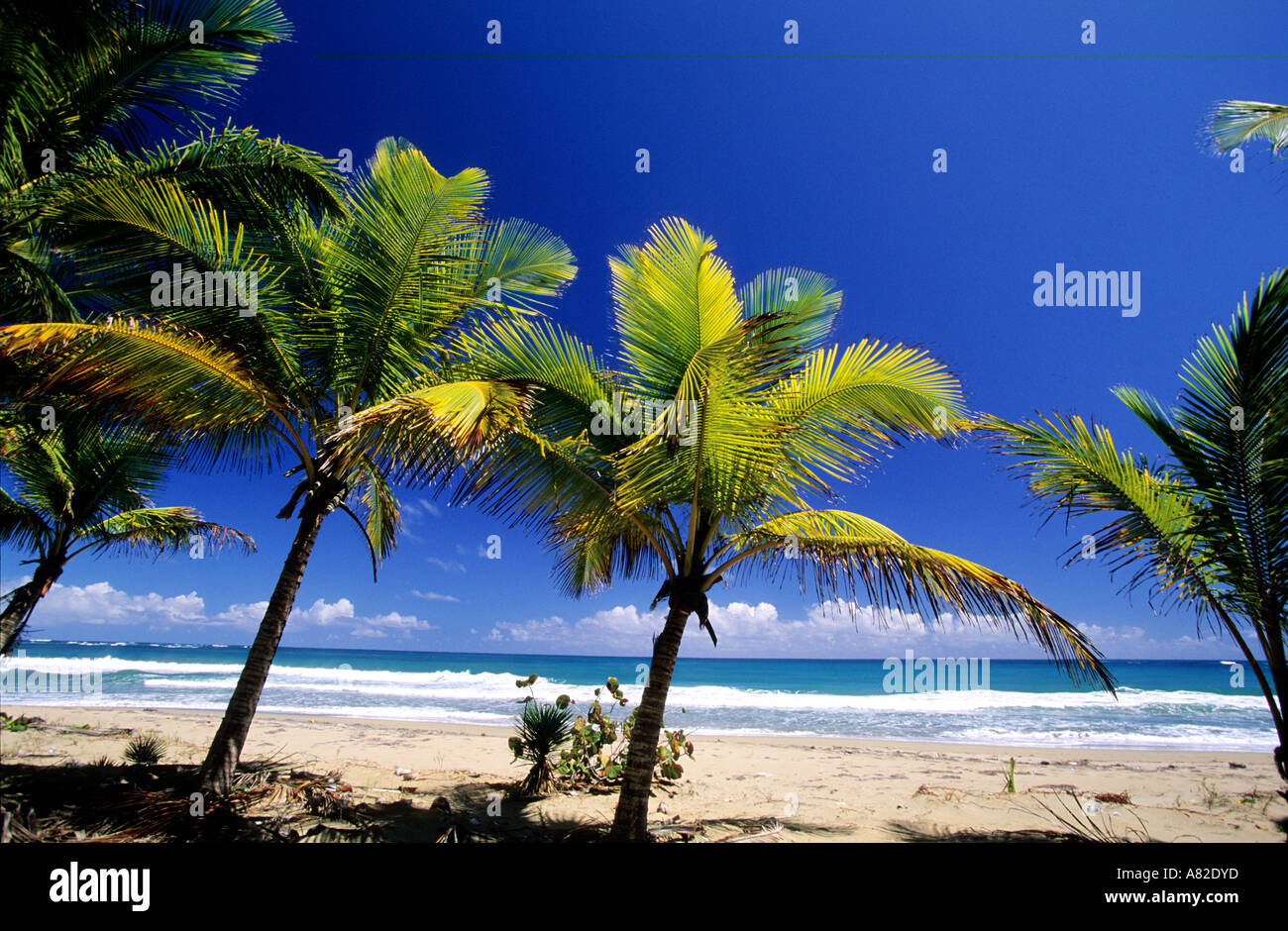Dominican Republic, Rio San Juan Stock Photo - Alamy