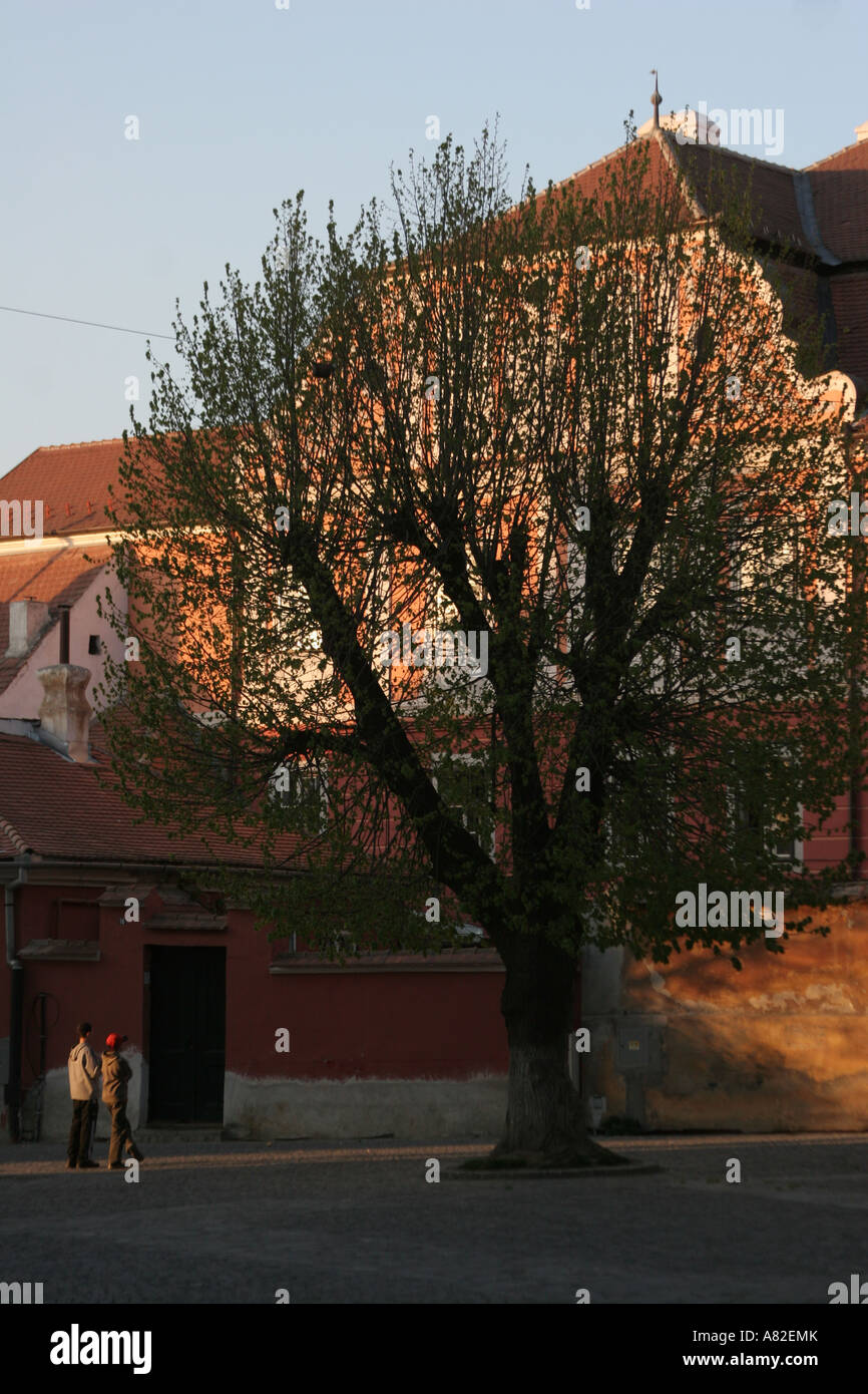 Piata Huet square Huet Sibiu European capital of culture 2007 April