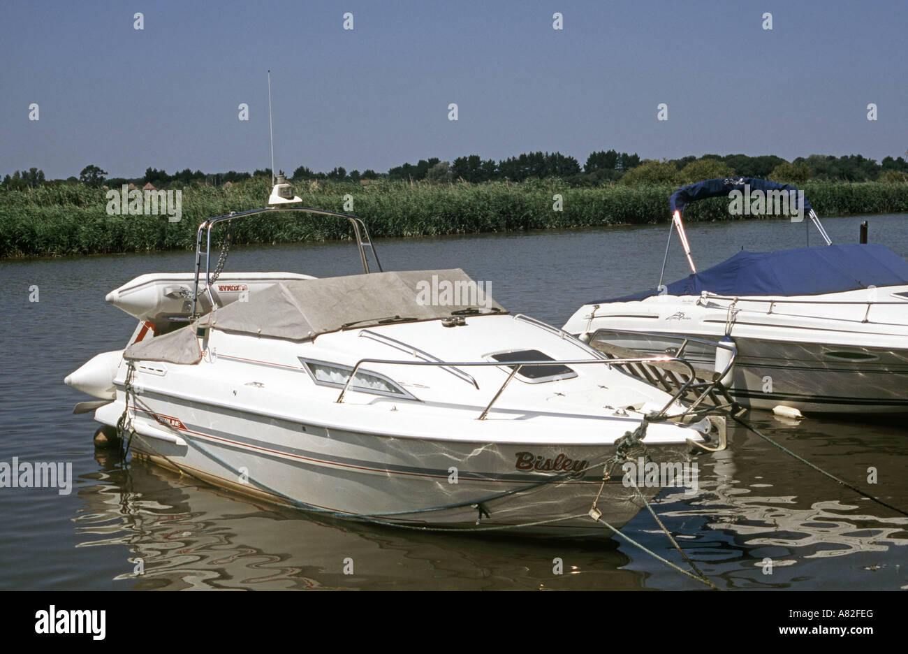 Motor cruiser moored on River Frome at Redclyffe, near Wareham, Dorset Stock Photo