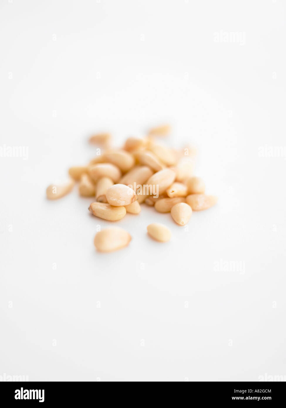 small pile of pine nuts Stock Photo
