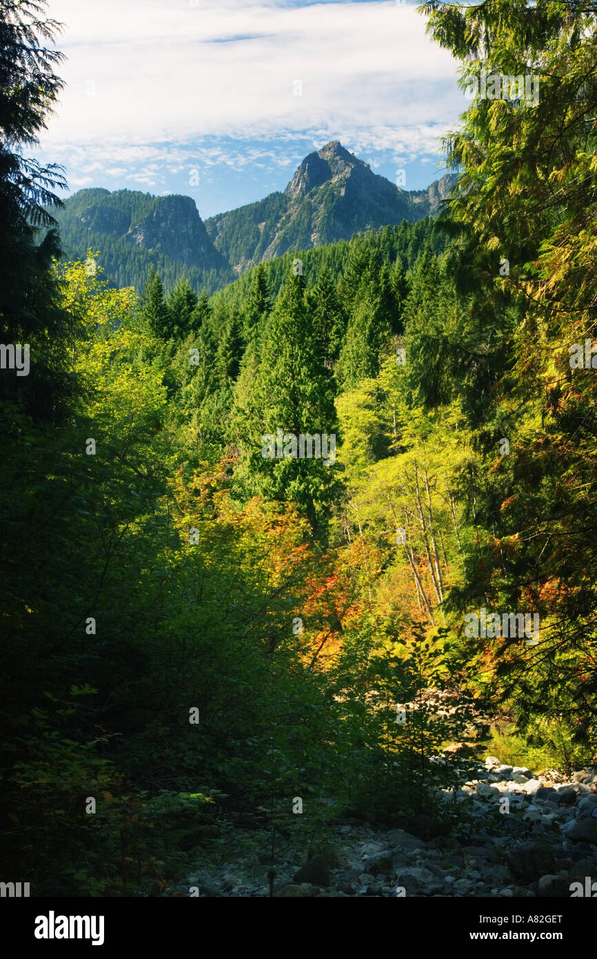 golden ears provincial park british columbia vancouver canada Stock Photo