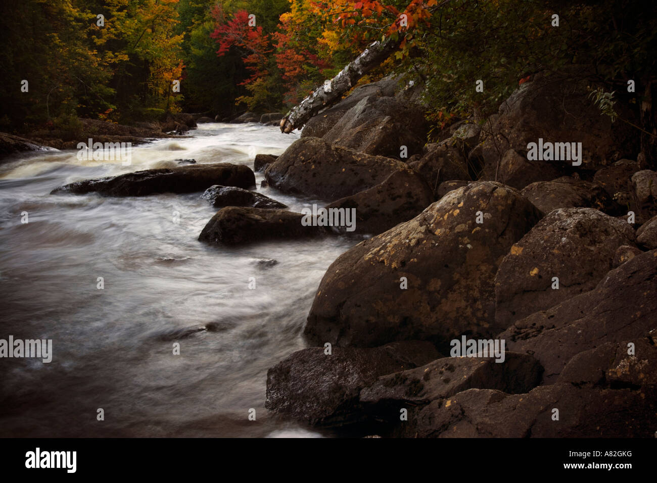 river and autumn colors in the laurentians Quebec Stock Photo Alamy