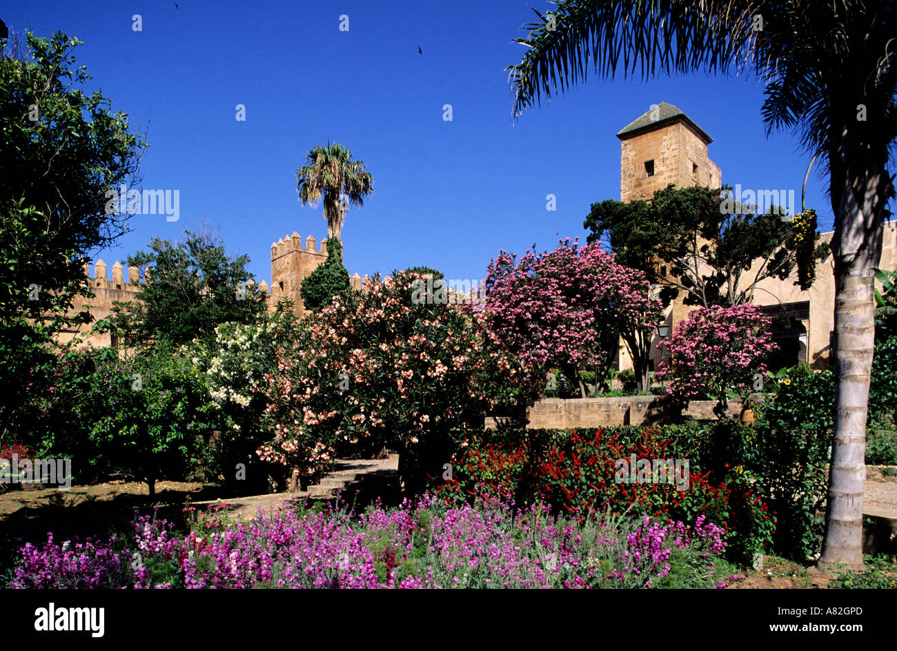 Morocco Rabat Andalusian Garden In The Kasbah Des Oudaias Stock