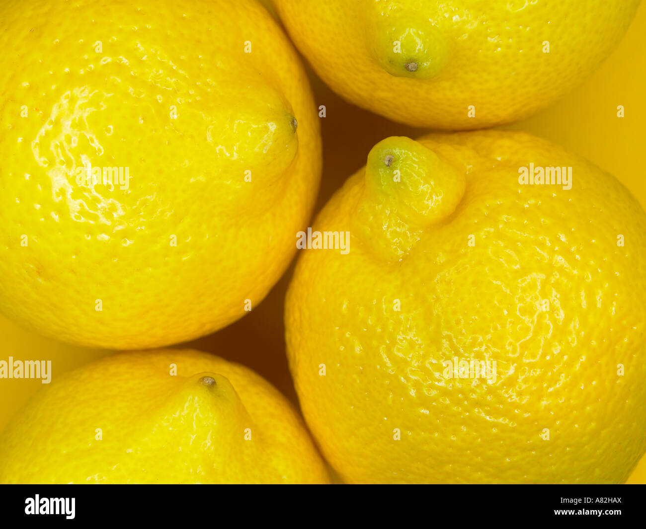 Lemon lemons greenhouse hi-res stock photography and images - Alamy