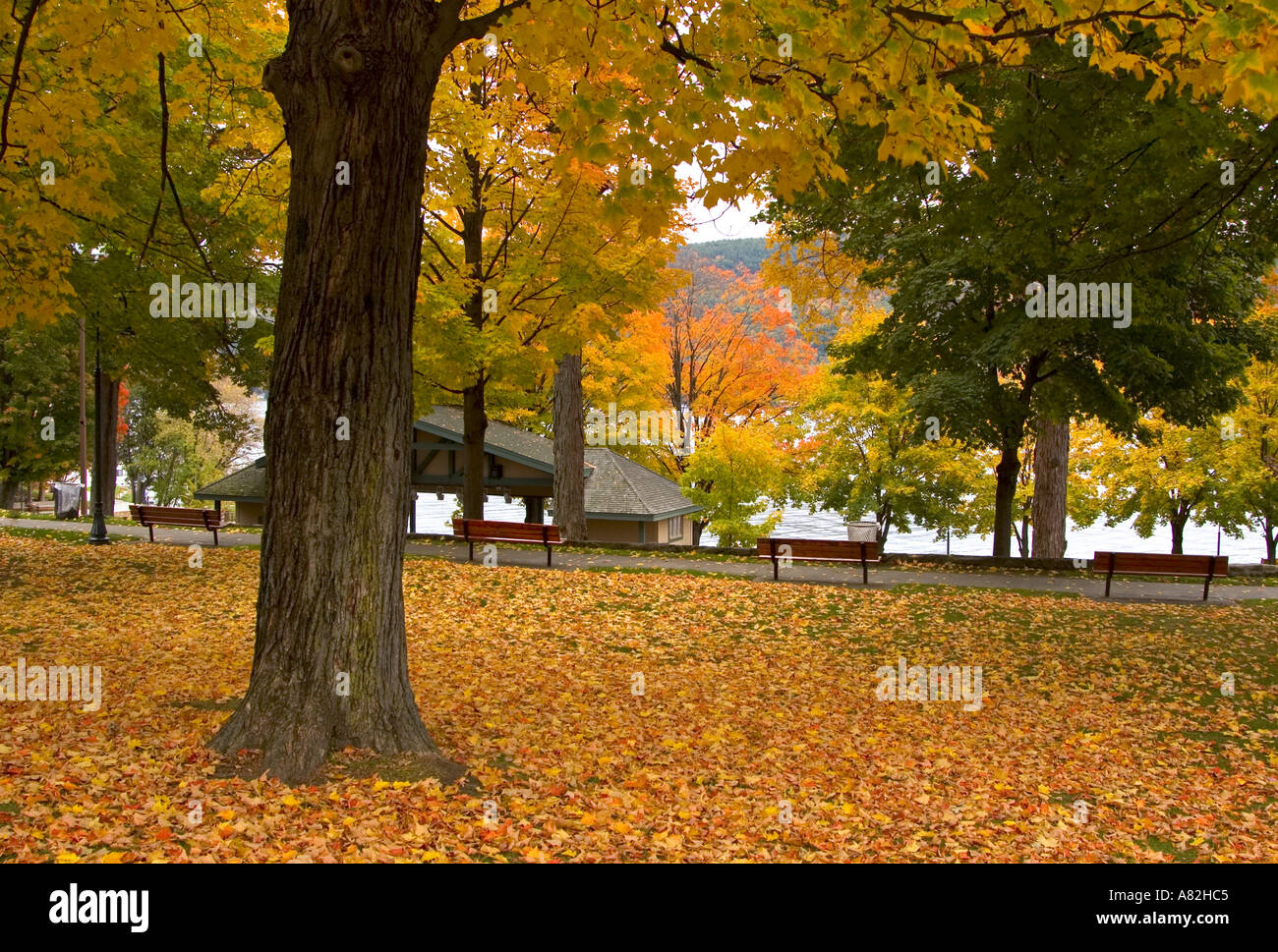 Park, Lake New York State, USA Stock Photo Alamy