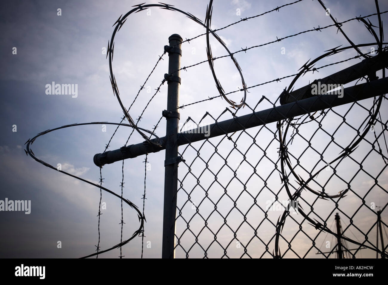 barbed wires on the top of a fence Stock Photo - Alamy