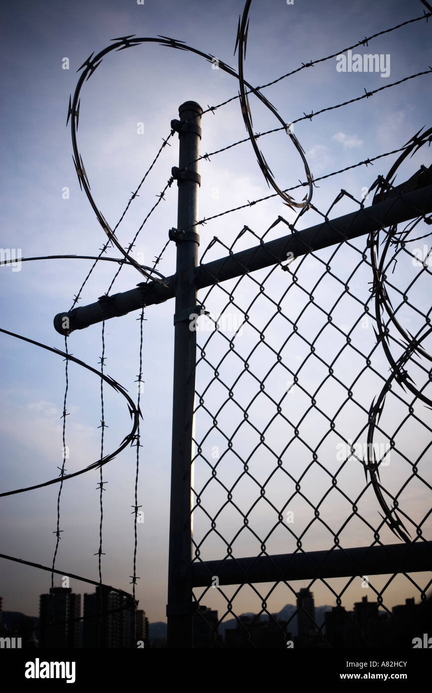 barbed wires on the top of a fence Stock Photo - Alamy