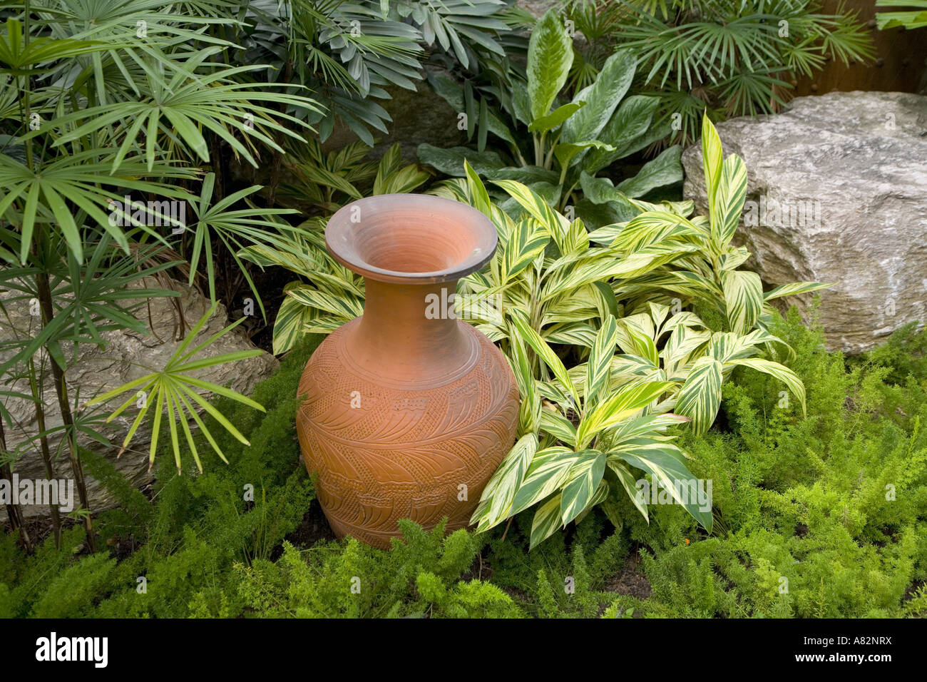 East asian plants hi-res stock photography and images - Alamy