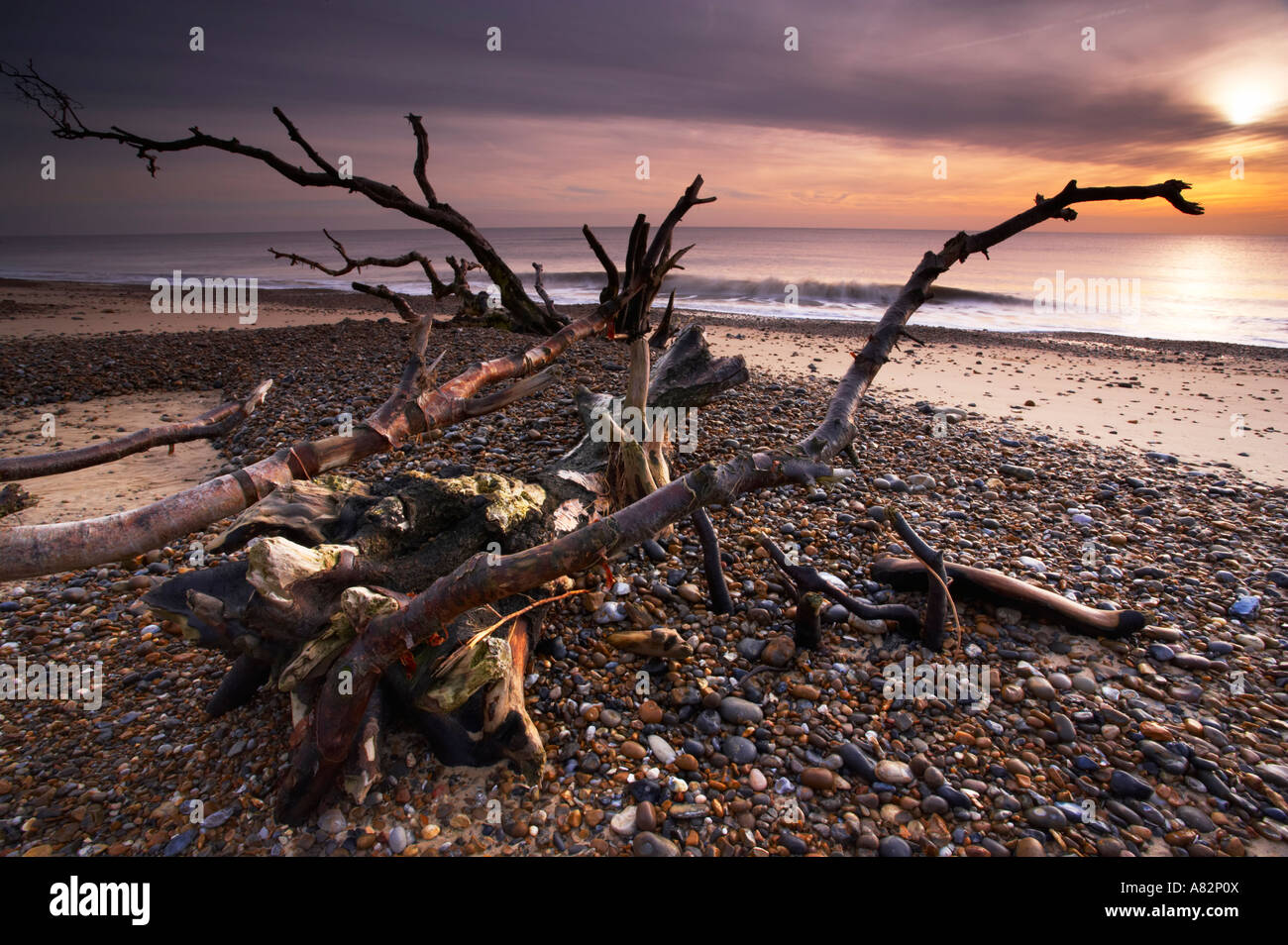 Benacre on the Suffolk Coast Stock Photo - Alamy