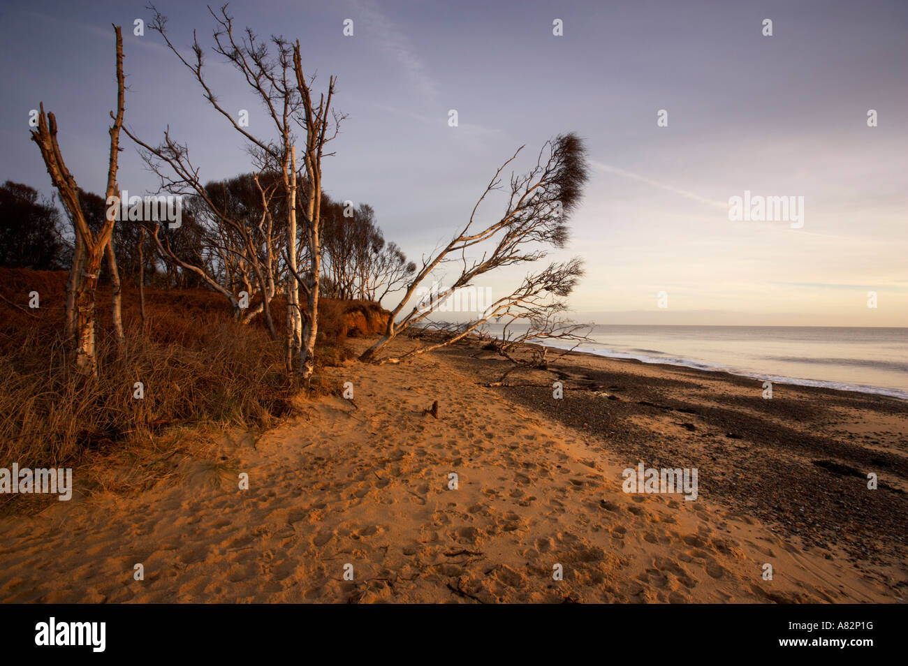 Benacre on the Suffolk Coast Stock Photo - Alamy