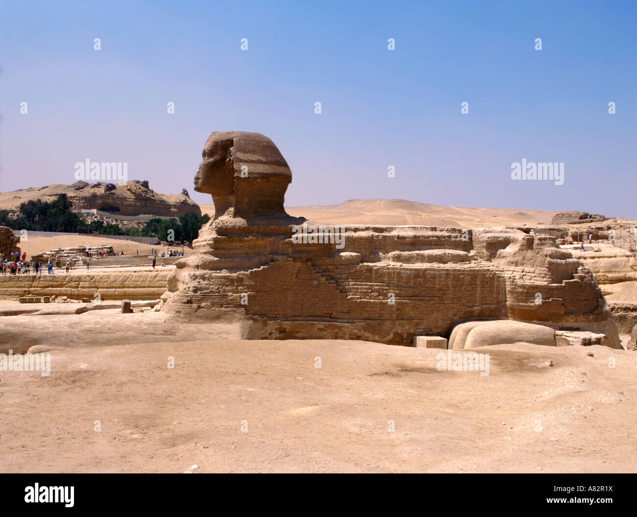 East side view on Sphinx Egypt Stock Photo 11968453 Alamy