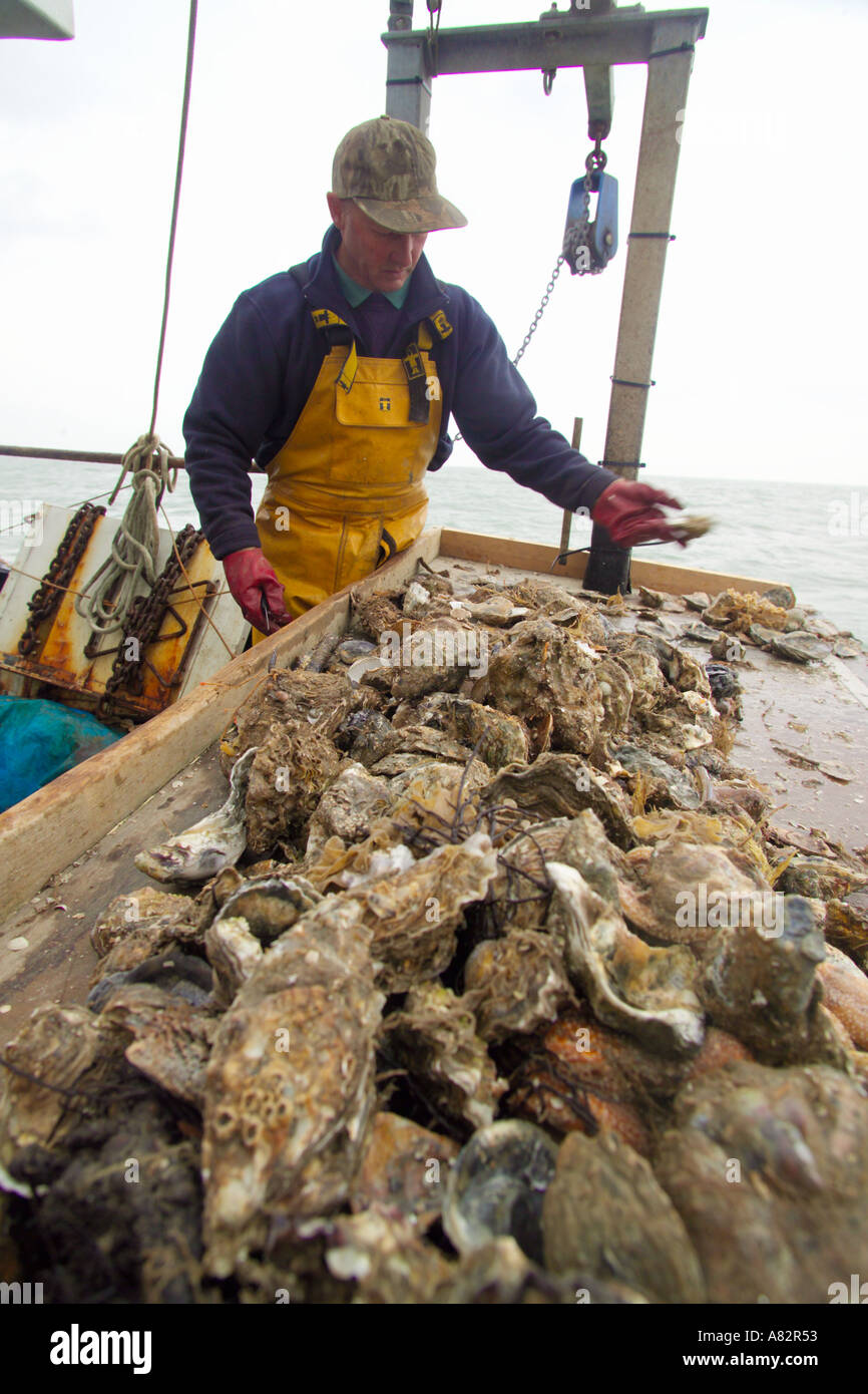 Andy Riches on board the Oyster fishing boat The Misty Oyster fishing