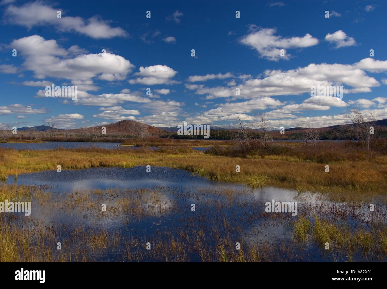 Lake tupper hires stock photography and images Alamy