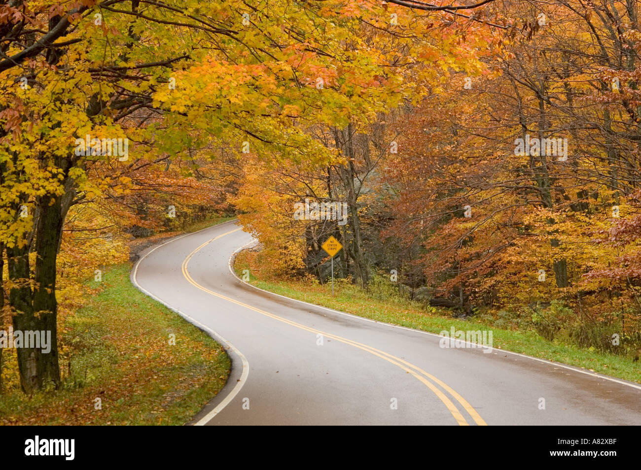 Road in forest, Vermont, New England, USA Stock Photo