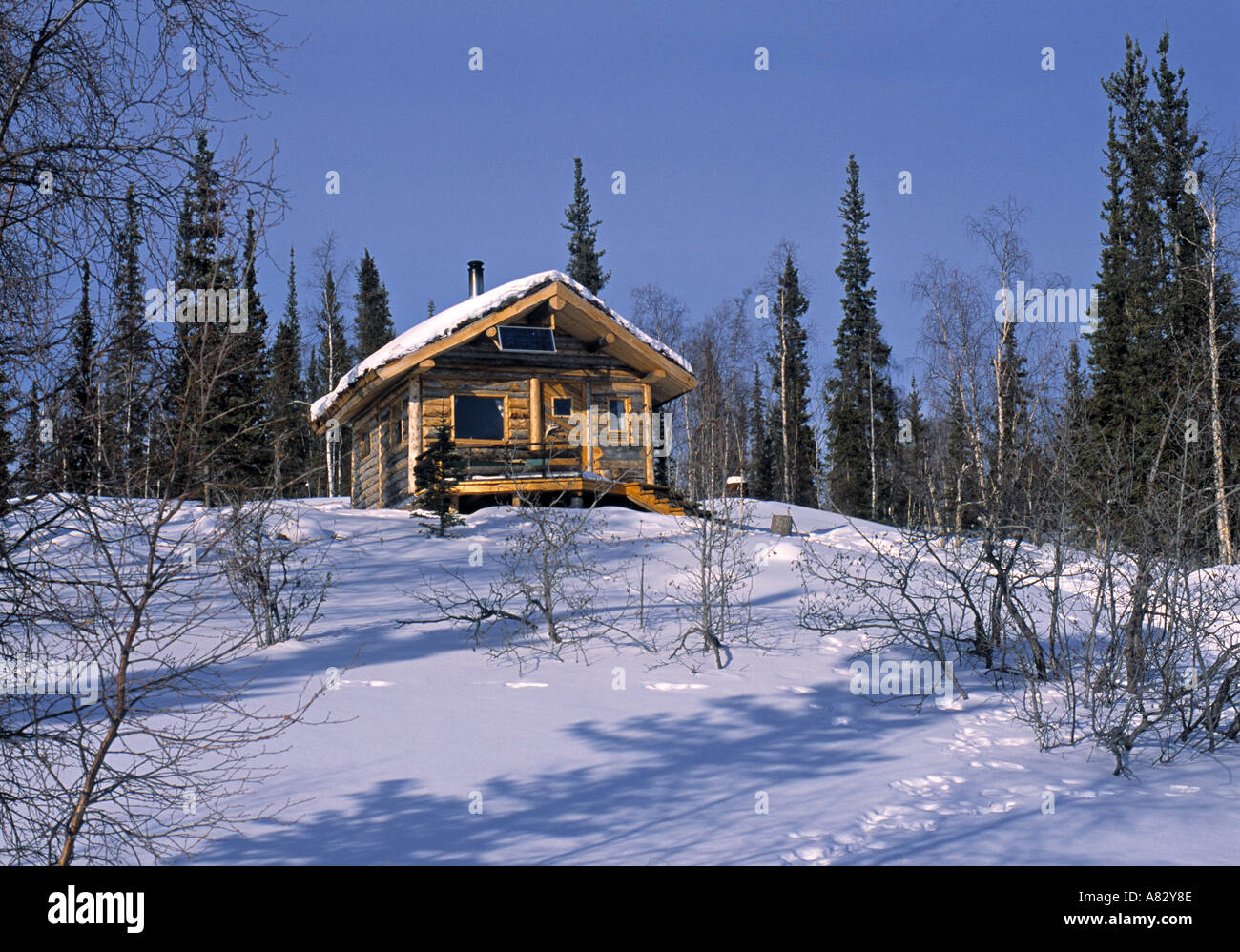 Slave Lake Stock Photos Slave Lake Stock Images Page 3 Alamy