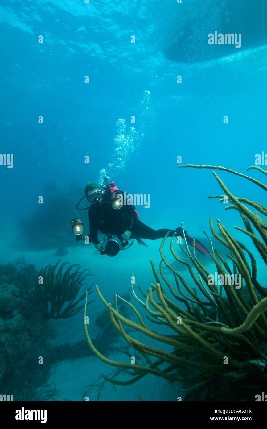 Islamorada florida keys national marine sanctuary hires stock