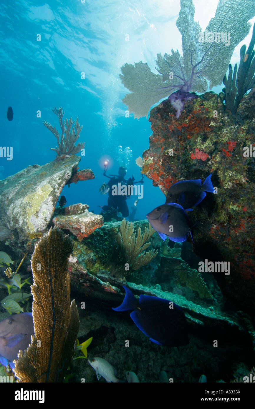 Underwater photographer and shipwreck, Key Largo, Florida Stock Photo